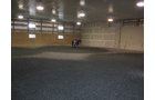Property photo 68 - 80 Acres Offered in 4 Tracts - Horse Farm